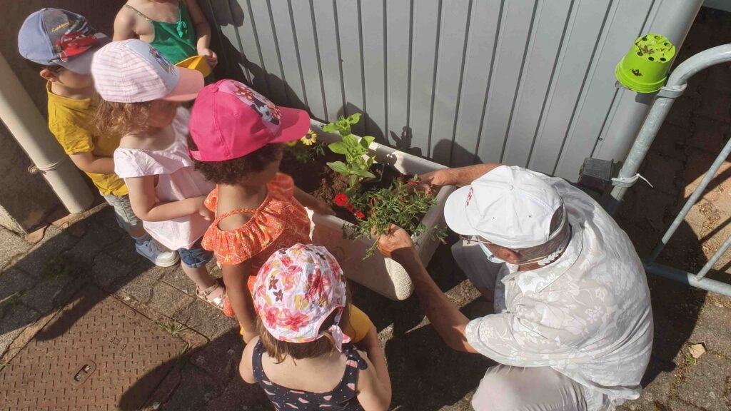 Plantation extérieur centre social